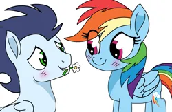 Size: 2139x1395 | Tagged: source needed, safe, artist:pinky cloudy, derpibooru import, rainbow dash, soarin', pegasus, pony, g4, blushing, female, flower, image, looking at each other, looking at someone, male, mare, movie accurate, png, shipping, smiling, soarindash, stallion, straight