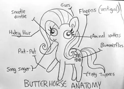 Size: 1453x1041 | Tagged: safe, artist:tjpones, derpibooru import, fluttershy, pegasus, pony, g4, aminals, anatomy, anatomy chart, anatomy guide, chart, derp, female, image, lineart, mare, png, raised hoof, silly art, simple background, solo, traditional art