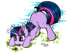 Size: 4184x3135 | Tagged: safe, artist:julunis14, derpibooru import, twilight sparkle, insect, ladybug, pony, unicorn, g4, ass up, bent over, blank flank, cute, ear fluff, face down ass up, female, filly, filly twilight sparkle, foal, grass, horn, image, jpeg, looking at something, markers, open mouth, signature, solo, traditional art, twiabetes, twilight hates ladybugs, unicorn twilight, young, younger