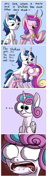 Size: 1090x4099 | Tagged: dead source, suggestive, artist:piemations, derpibooru import, princess cadance, princess flurry heart, shining armor, alicorn, pony, unicorn, g4, ..., bad parenting, blue background, blushing, cannot unsee, chest fluff, comic, derp, eyes on the prize, faic, female, filly, floppy ears, foal, folded wings, frown, funny, funny as hell, goodbye fillyhood, gradient background, horn, horrified, image, implied good clean married sex, implied sex, lidded eyes, male, mare, mounting, open mouth, png, princess, sex education, shining armor is a goddamn moron, shrunken pupils, simple background, sitting, smiling, smirk, stallion, teaching, the birds and the bees, the talk, this will end in a night on the couch, this will end in therapy, trauma, traumatized, wide eyes, wings, wtf face