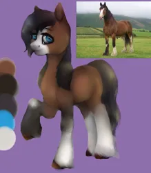 Size: 1071x1224 | Tagged: safe, artist:dorry, derpibooru import, earth pony, horse, pony, bald face, blaze (coat marking), clothes, coat markings, facial markings, female, image, irl, irl horse, jpeg, looking at you, mare, photo, ponified animal photo, purple background, raised hoof, simple background, socks, solo, unshorn fetlocks