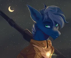 Size: 2436x2000 | Tagged: safe, artist:vitani, derpibooru import, oc, unofficial characters only, pony, armor, crescent moon, facial hair, goatee, image, male, moon, night, night sky, png, sky, solo, stallion, weapon