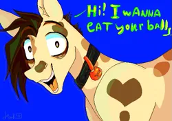 Size: 563x395 | Tagged: safe, artist:deadsmoke, derpibooru import, oc, oc:ddsmk, earth pony, choker, colorful, dialogue, digital art, image, insanity, looking at you, pixel art, png, white pupils