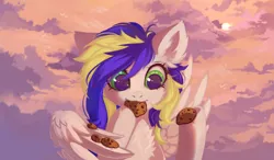 Size: 3000x1746 | Tagged: safe, artist:vitani, derpibooru import, oc, unofficial characters only, pegasus, pony, chest fluff, cookie, eating, female, food, image, lineless, lineless background, mare, png, solo, wing hold, wings