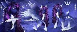 Size: 5000x2064 | Tagged: safe, artist:vitani, derpibooru import, oc, oc:aurora, unofficial characters only, pegasus, pony, chest fluff, coat markings, concave belly, crescent moon, facial markings, female, gradient legs, image, jewelry, leonine tail, mare, moon, necklace, pale belly, png, slender, socks (coat marking), solo, star (coat marking), tail, thin