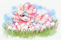 Size: 2560x1695 | Tagged: safe, artist:seurnik, derpibooru import, oc, oc:suflya, unofficial characters only, earth pony, insect, ladybug, pony, cloud, cream coat, curly hair, ear fluff, fluffy, grass, image, jpeg, long eyelashes, multicolored hair, ponytail, rainbow eyes, rainbow hair, smiling, solo, stars