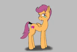 Size: 2400x1600 | Tagged: safe, artist:feraline(r), derpibooru import, scootaloo, pegasus, pony, g4, image, older, older scootaloo, png, simple background, tail, tail wrap, tongue out