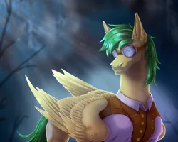 Size: 2500x2000 | Tagged: safe, artist:eville6, artist:universalevil, derpibooru import, oc, unofficial characters only, pegasus, pony, aviator goggles, clothes, commission, ear fluff, goggles, image, male, png, shirt, solo, stallion, vest, ych result