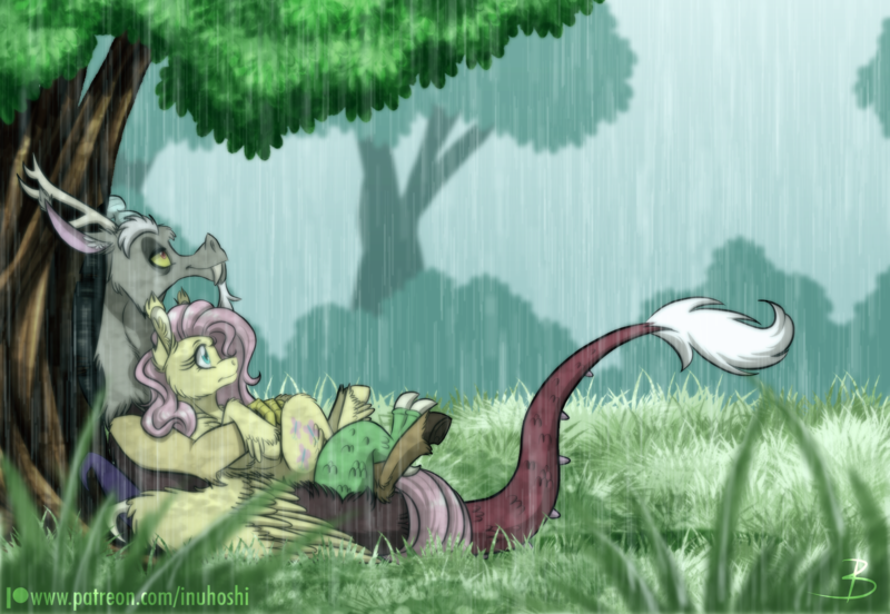 Size: 1800x1241 | Tagged: safe, artist:inuhoshi-to-darkpen, derpibooru import, discord, fluttershy, draconequus, pegasus, pony, g4, cute, discoshy, discute, ear fluff, feathered fetlocks, female, image, looking away, looking up, lying down, male, mare, on back, patreon, patreon logo, png, profile, rain, shipping, straight, tree, under the tree, unshorn fetlocks