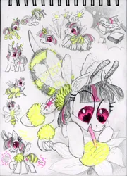 Size: 3248x4500 | Tagged: safe, artist:ja0822ck, derpibooru import, twilight sparkle, alicorn, bee, bug pony, insect, pony, unicorn, g4, flower, food, honey, horn, image, jpeg, traditional art