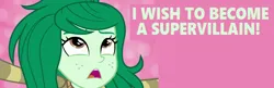 Size: 1728x563 | Tagged: safe, derpibooru import, edit, edited screencap, screencap, wallflower blush, equestria girls, g4, equestria girls specials, image, my little pony equestria girls: forgotten friendship, png, wish, wishing