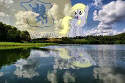 Size: 1615x1080 | Tagged: safe, derpibooru import, derpy hooves, pegasus, pony, g4, big pony, image, png, poland