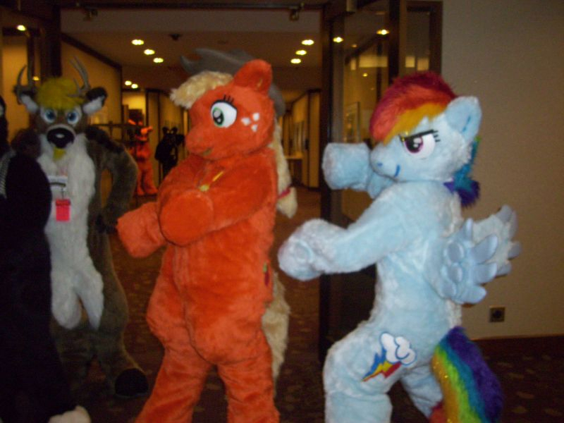 Size: 800x600 | Tagged: safe, artist:spainfischer, derpibooru import, applejack, rainbow dash, oc, g4, 2011, anthrocon, duo focus, furry, furry oc, fursuit, image, indoors, irl, jpeg, photo, ponysuit