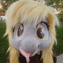 Size: 1080x1080 | Tagged: safe, derpibooru import, derpy hooves, g4, fursuit, image, irl, jpeg, outdoors, photo, ponysuit, solo