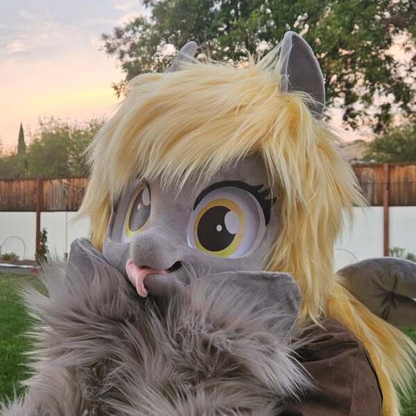 Size: 1080x1080 | Tagged: safe, derpibooru import, derpy hooves, g4, fursuit, image, irl, jpeg, outdoors, photo, ponysuit, solo