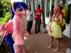 Size: 4288x3216 | Tagged: safe, derpibooru import, firefly, fluttershy, g1, g4, 2012, clothes, cosplay, costume, fursuit, galacon, group, image, irl, jpeg, outdoors, photo, ponysuit, quartet