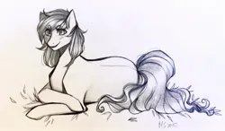 Size: 1280x745 | Tagged: safe, artist:mscootaloo, derpibooru import, oc, oc:shimmering song, unofficial characters only, earth pony, female, full body, happy, image, jpeg, lying down, singer, sketch