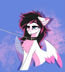 Size: 1175x1301 | Tagged: safe, artist:alrumoon_art, derpibooru import, oc, unofficial characters only, pegasus, chest fluff, collar, colored sketch, heterochromia, image, pegasus oc, png, sketch, white fur, wings