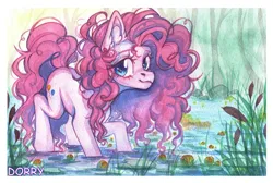 Size: 6582x4410 | Tagged: safe, artist:dorry, derpibooru import, pinkie pie, pony, g4, aquarelle, canon, female, forest, image, jpeg, looking at you, mare, nature, solo, traditional art, tree