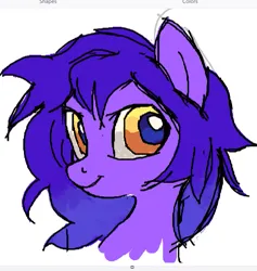 Size: 721x760 | Tagged: safe, artist:skypaw10, derpibooru import, oc, oc:sungaze, unofficial characters only, earth pony, pony, bust, female, image, mare, png, portrait, redesign, smiling, solo