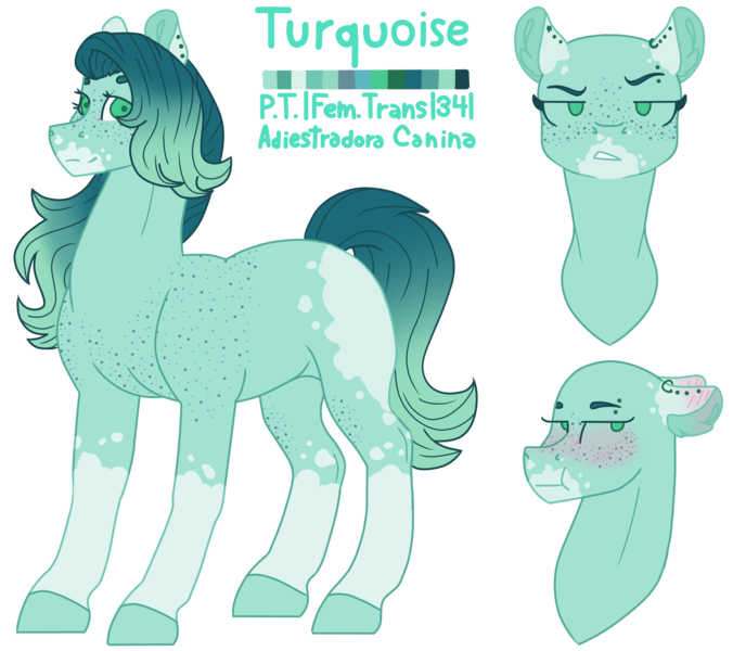 Size: 1731x1536 | Tagged: safe, artist:plixine, derpibooru import, oc, oc:turquoise, unofficial characters only, earth pony, pony, image, png, reference sheet, simple background, solo, transgender, transparent background