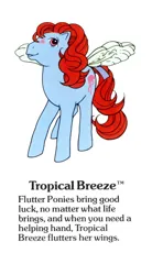 Size: 550x1000 | Tagged: safe, derpibooru import, official, flutter pony, pegasus, pony, g1, bow, cute, female, g1 backstory, image, jpeg, mare, my little pony fact file, open mouth, open smile, smiling, solo, tail, tail bow, text, tropical breeze, tropicalbetes