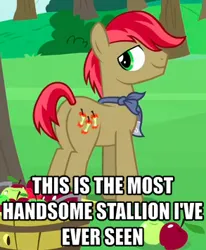 Size: 293x356 | Tagged: safe, derpibooru import, edit, edited screencap, screencap, apples snack, earth pony, pony, g4, the perfect pear, apple family member, butt, caption, cropped, image, image macro, male, my little pony, plot, png, solo, stallion, text