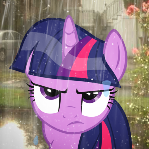 Size: 1602x1602 | Tagged: safe, artist:trrrebleee, artist:trrriple0dds, derpibooru import, edit, vector edit, twilight sparkle, pony, unicorn, g4, horn, image, irl, outdoors, photo, png, rain, real life background, twilight sparkle is not amused, unamused, unicorn twilight, vector, wet, wet mane