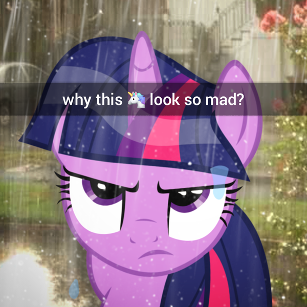 Size: 1602x1602 | Tagged: safe, artist:trrrebleee, artist:trrriple0dds, derpibooru import, edit, screencap, vector edit, twilight sparkle, pony, unicorn, g4, caption, image, irl, meme, outdoors, photo, png, rain, real life background, snapchat, text, twilight sparkle is not amused, unamused, unicorn twilight, vector, wet, wet mane