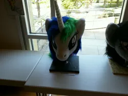 Size: 3264x2448 | Tagged: safe, artist:atalonthedeer, derpibooru import, octavia melody, princess celestia, g4, 2013, disembodied head, fursuit head, galacon, image, irl, jpeg, photo, ponysuit, table