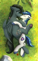 Size: 2160x3400 | Tagged: safe, alternate version, artist:crimsonwolf360, derpibooru import, shining armor, oc, oc:noble six, unofficial characters only, pegasus, pony, unicorn, g4, cuddling, duo, duo male and female, female, flower, grass, grass field, horn, image, infidelity, infidelity armor, kissing, male, mare, outdoors, partially open wings, png, size difference, smaller male, snuggling, stallion, wings