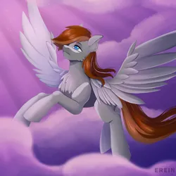 Size: 2000x2000 | Tagged: safe, artist:erein, derpibooru import, oc, oc:pastello zoccoli da venezia, unofficial characters only, pegasus, pony, blue eyes, brown mane, cloud, crepuscular rays, ears up, evening, flying, gray coat, high res, image, jpeg, male, multicolored hair, pegasus oc, sky, solo, spread wings, wings