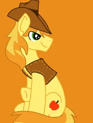 Size: 768x1024 | Tagged: safe, artist:cosmicartist-2000, derpibooru import, braeburn, earth pony, pony, g4, clothes, eye clipping through hair, hat, image, jpeg, male, old art, orange background, simple background, sitting, solo, stallion, turned head, vest