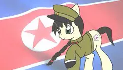 Size: 297x170 | Tagged: safe, ponerpics import, ponybooru import, oc, unofficial characters only, image, jpeg, north korea, north korean flag, solo