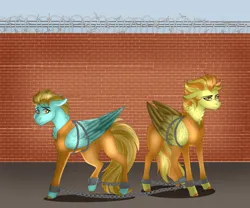 Size: 3000x2500 | Tagged: safe, artist:inisealga, derpibooru import, lightning dust, spitfire, g4, barbed wire, bound wings, brick wall, chained, chains, clothes, commissioner:rainbowdash69, cuffed, image, never doubt rainbowdash69's involvement, png, prison outfit, prisoner, shackles, wings