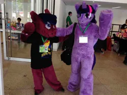 Size: 1306x979 | Tagged: oc name needed, safe, derpibooru import, twilight sparkle, g4, 2014, duo, fursuit, galacon, image, indoors, irl, jpeg, photo, ponysuit