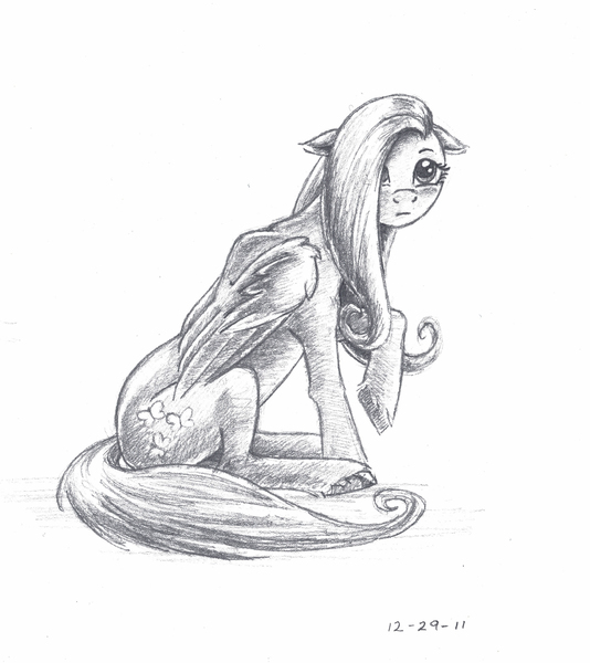 Size: 3495x3928 | Tagged: safe, artist:the-wizard-of-art, derpibooru import, fluttershy, pegasus, pony, g4, 2011, black and white, female, grayscale, high res, image, jpeg, mare, monochrome, pencil drawing, simple background, sitting, sketch, solo, traditional art, white background, wings