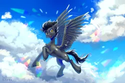 Size: 3708x2480 | Tagged: safe, artist:teaflower300, derpibooru import, oc, unofficial characters only, pegasus, pony, belly, image, pegasus oc, png, solo, wings