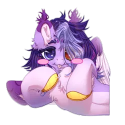 Size: 2500x2500 | Tagged: safe, artist:medkit, derpibooru import, oc, oc:wendy levitar, unofficial characters only, pegasus, pony, :3, :p, big eyes, blushing, chest fluff, colored belly, colored ear fluff, colored eartips, colored eyebrows, colored eyelashes, colored hooves, colored lineart, colored pupils, colored sketch, colored wings, colored wingtips, ear cleavage, ear fluff, ears up, eye clipping through hair, eyebrows, eyebrows visible through hair, eyelashes, facial markings, feathered wings, female, freckles, gift art, gold hooves, gradient hooves, hair over one eye, half body, heart ears, heart shaped, heterochromia, high res, hoof fluff, hoof to cheek, hooves, horseshoes, image, lightly watermarked, lying down, mare, multicolored coat, partially open wings, png, shading, short hair, signature, simple background, sketch, solo, tassels, tongue out, transparent background, two toned mane, wall of tags, watermark, wings