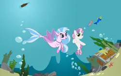 Size: 1280x802 | Tagged: artist needed, safe, anonymous artist, artist:jhayarr23, derpibooru import, silverstream, sweetie belle, fish, pony, seapony (g4), g4, bubble, clothes, crack shipping, cute, diastreamies, diasweetes, duo, female, filly, foal, grin, image, lesbian, looking at each other, looking at someone, open mouth, open smile, png, seaponified, seapony silverstream, seapony sweetie belle, seaweed, ship:sweetiestream, shipping, smiling, smiling at each other, species swap, treasure chest, underwater, underwear, water