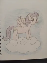 Size: 3016x4032 | Tagged: safe, artist:jakusi, derpibooru import, clear skies, pegasus, pony, g4, cloud, female, happy, image, jpeg, mare, on a cloud, sky, standing on a cloud, traditional art