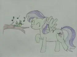 Size: 4032x3016 | Tagged: safe, artist:jakusi, derpibooru import, violet twirl, bird, hummingbird, pegasus, pony, g4, dancing, eyes closed, female, friendship student, happy, image, jpeg, mare, music notes, singing, traditional art, tree branch