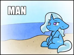 Size: 1481x1113 | Tagged: safe, artist:zutcha, derpibooru import, trixie, pony, unicorn, g4, beach, chest fluff, cute, diatrixes, female, floppy ears, frown, horn, image, man, man (meme), mare, meme, no pupils, ocean, png, sitting, solo, text, water