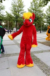 Size: 1824x2736 | Tagged: safe, artist:atalonthedeer, derpibooru import, big macintosh, oc, oc:tracy swift, human, g4, 2015, fursuit, galacon, image, irl, irl human, jpeg, outdoors, photo, ponysuit, solo focus