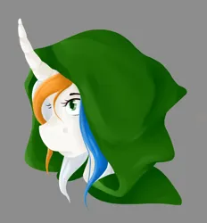 Size: 1331x1433 | Tagged: safe, artist:fleiiha, derpibooru import, oc, oc:princess tierra del fuego, ponified, unofficial characters only, alicorn, anthro, pony, argentina, hooded cape, image, jpeg, nation ponies, solo, vent art