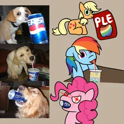 Size: 1000x1000 | Tagged: safe, artist:izzy64, derpibooru import, applejack, pinkie pie, rainbow dash, dog, earth pony, pegasus, pony, g4, appletini, drink, image, meme, micro, pepsi, png, soda