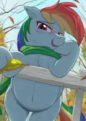 Size: 2480x3508 | Tagged: safe, artist:neoshrek, derpibooru import, rainbow dash, pegasus, pony, g4, autumn, belly, belly button, blushing, clothes, falling leaves, fence, image, jpeg, leaves, lidded eyes, outdoors, scarf, smiling