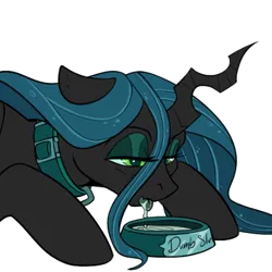Size: 450x450 | Tagged: suggestive, artist:twoshoesmcgee, derpibooru import, queen chrysalis, changeling, changeling queen, g4, bumbo, collar, drink, drinking, dumb, eating, female, image, lapping, licking, pet, pet bowl, pet play, png, simple background, slut, solo, tongue out, transparent background