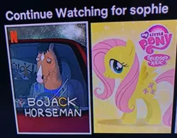 Size: 735x573 | Tagged: safe, derpibooru import, fluttershy, pegasus, pony, g4, bojack horseman, bojack horseman (character), female, image, logo, mare, netflix, netflix logo, photo, png