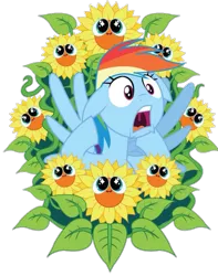 Size: 600x760 | Tagged: safe, artist:bobbyreturns05, derpibooru import, rainbow dash, pegasus, g4, female, flower, image, nightmare sunflower, png, simple background, sunflower, transparent background, vector